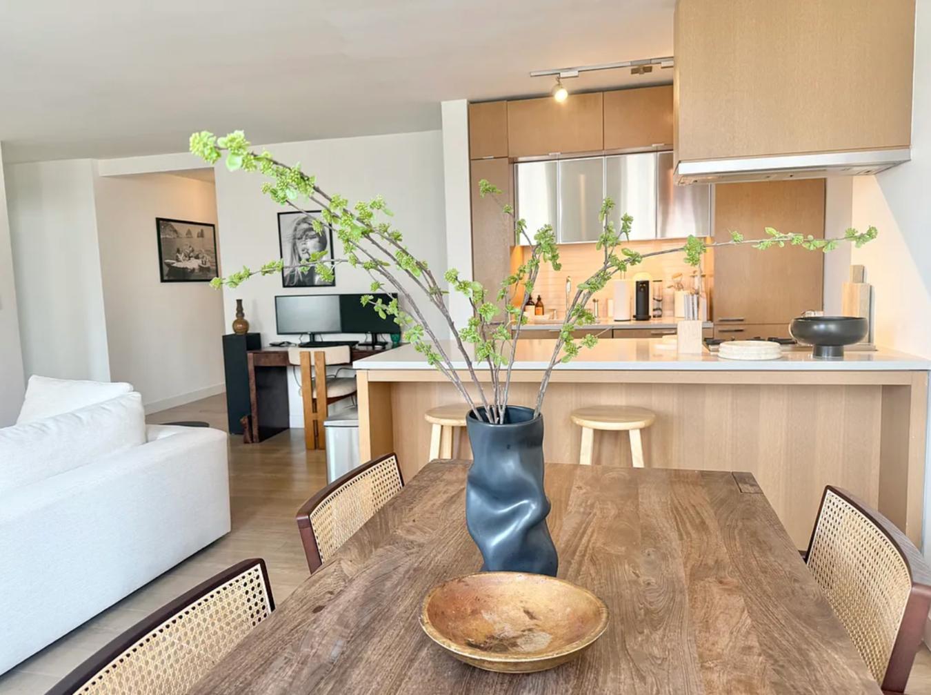 225 Rector Place 15A Battery Park City New York NY 10280