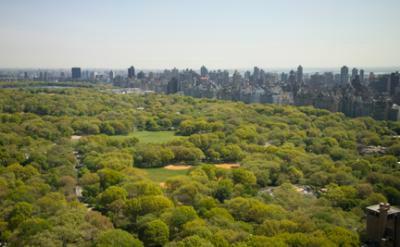 301 West 57th Street 18A Clinton New York NY 10019