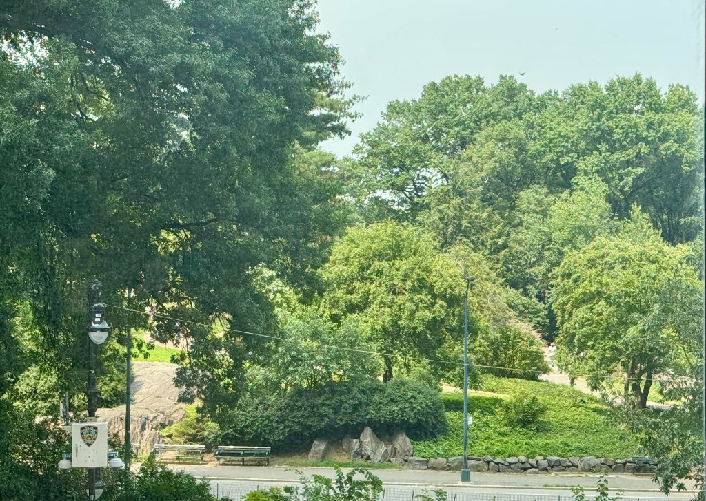 116 Central Park South 3N Central Park South New York NY 10019