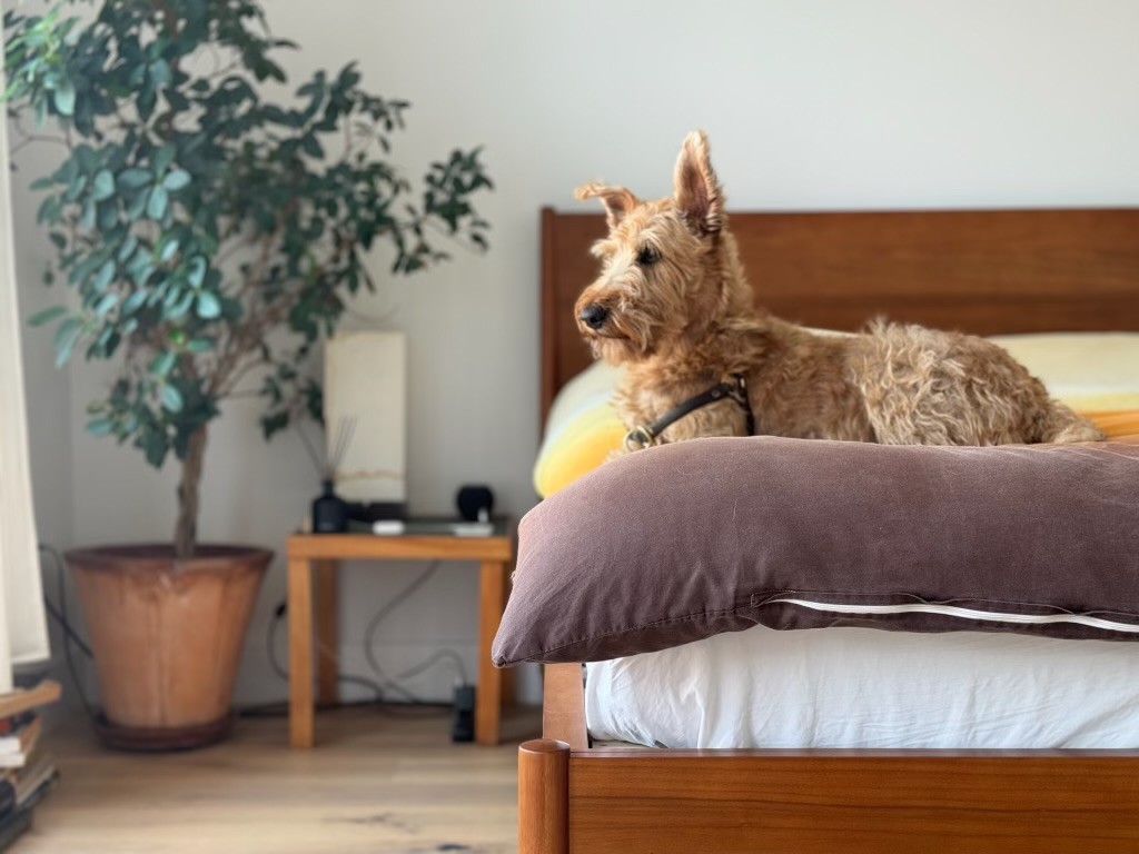 189 Conover Street 2A Red Hook Brooklyn NY 11231