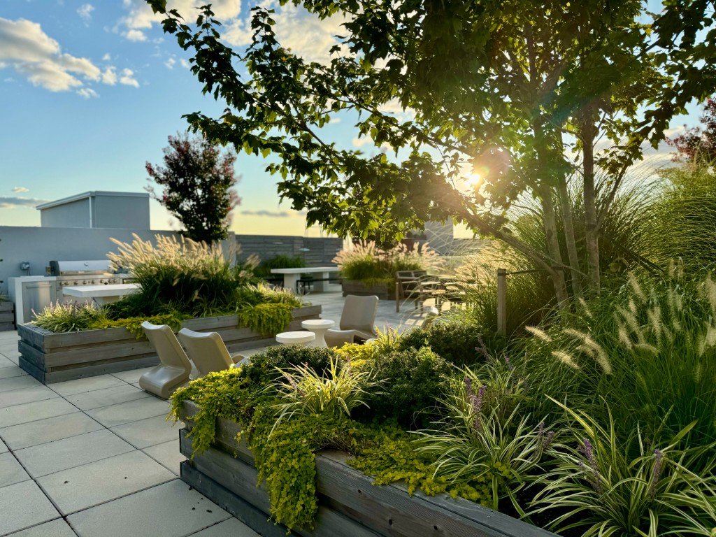 189 Conover Street 2A Red Hook Brooklyn NY 11231