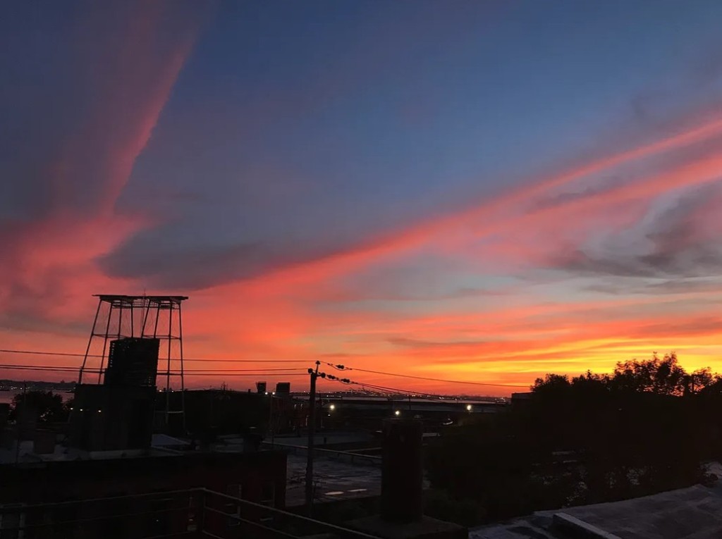 168 Coffey Street Red Hook Brooklyn NY 11231