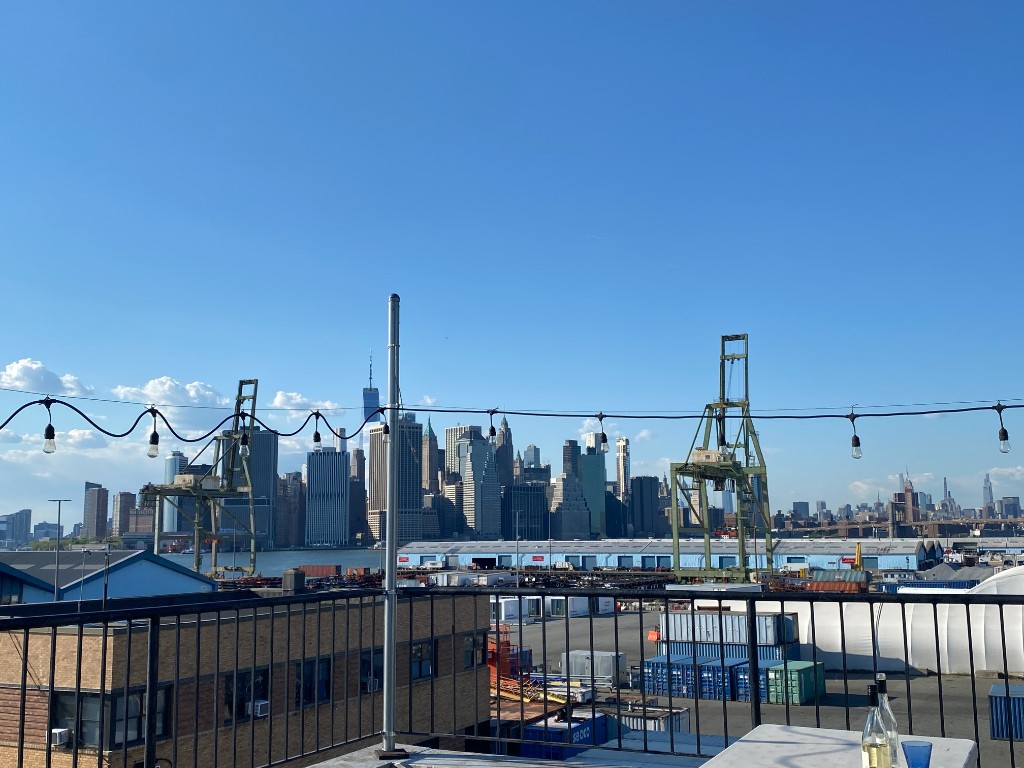 62 Degraw Street top Columbia Street Waterfront Dist. Brooklyn NY 11231