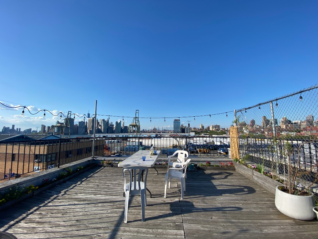62 Degraw Street top Columbia Street Waterfront Dist. Brooklyn NY 11231