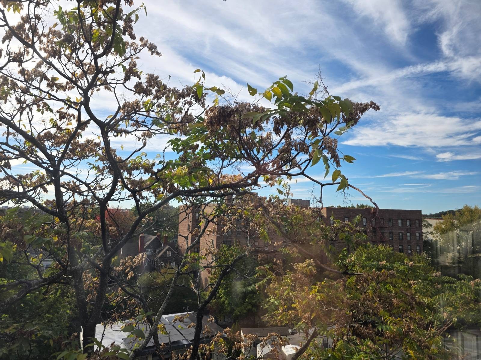 150 East 18th Street 6B Prospect Park South Brooklyn NY 11226