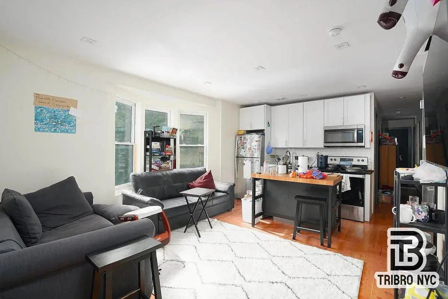 181 Greenpoint Avenue 3D Greenpoint Brooklyn NY 11222