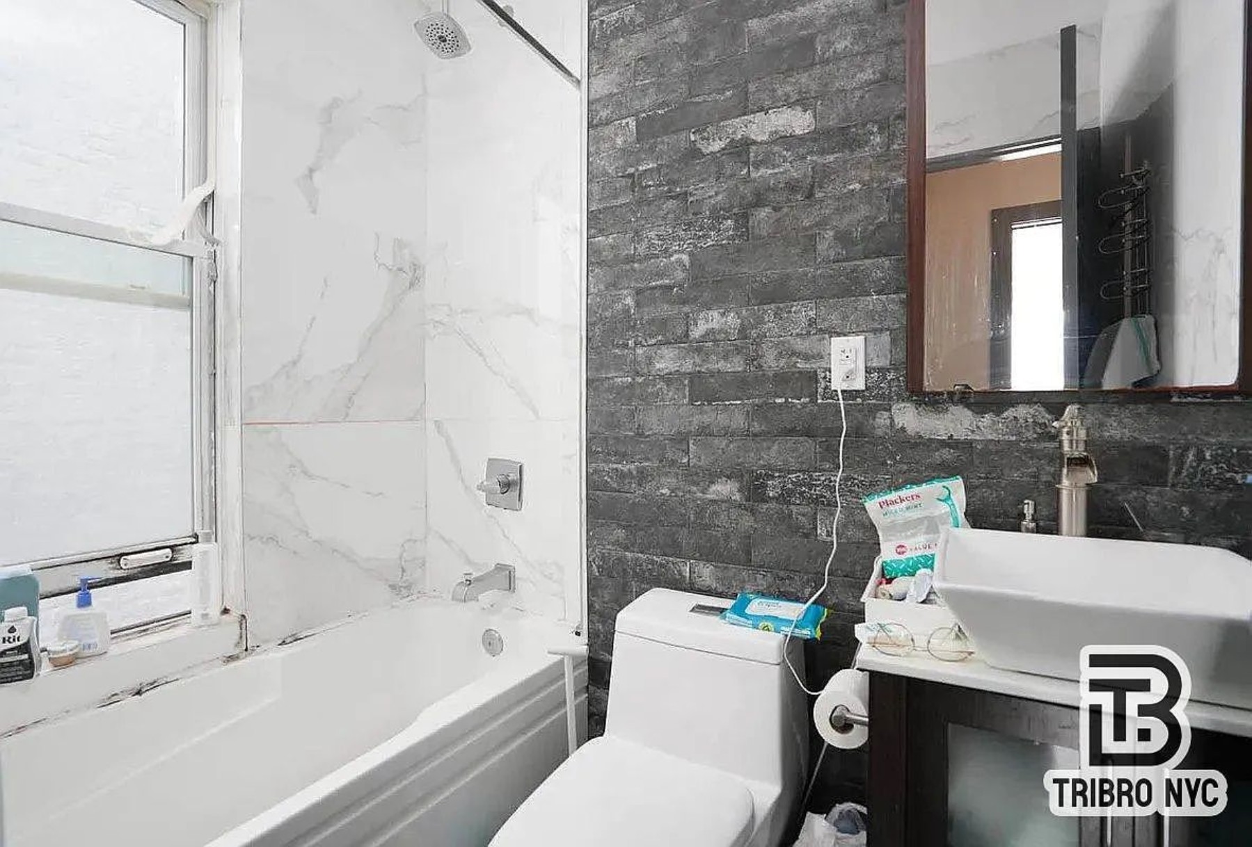 181 Greenpoint Avenue 3D Greenpoint Brooklyn NY 11222