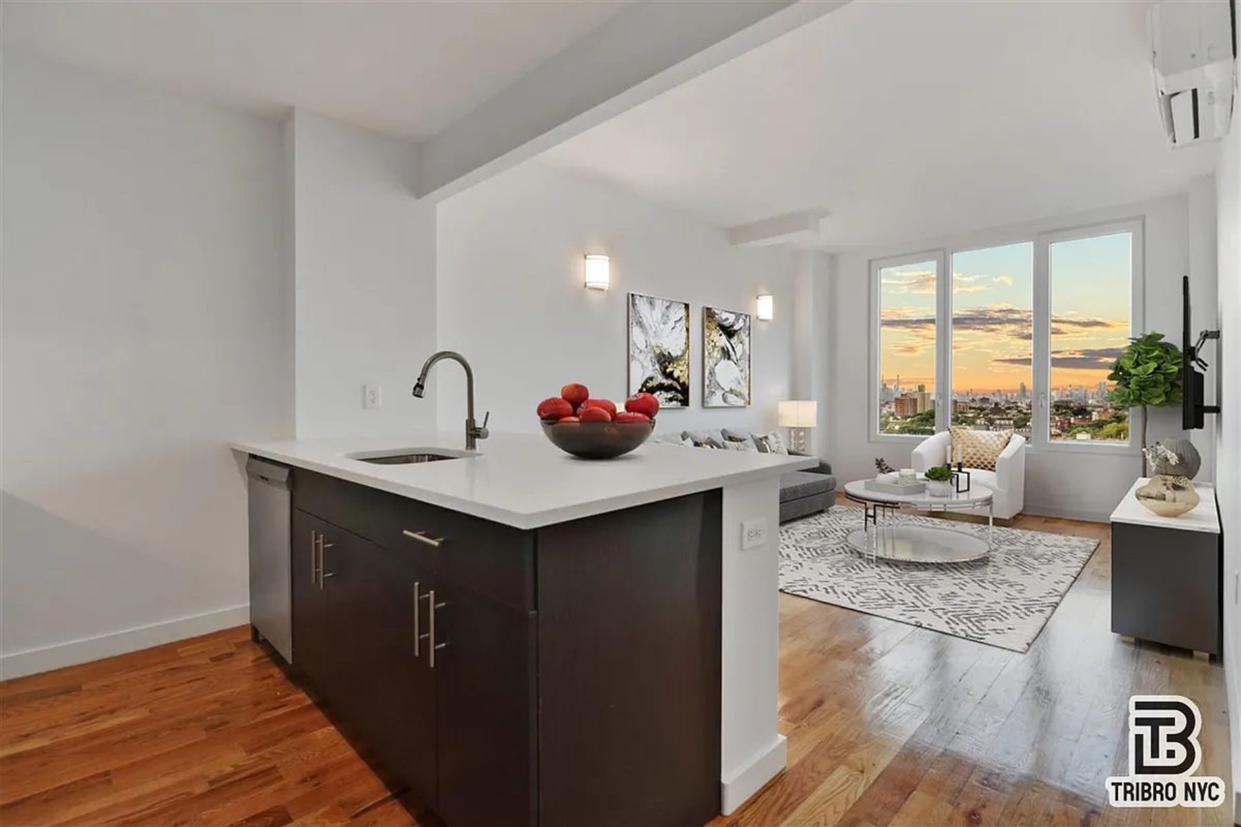 15 Somers Street 4B Ocean Hill Brooklyn NY 11233