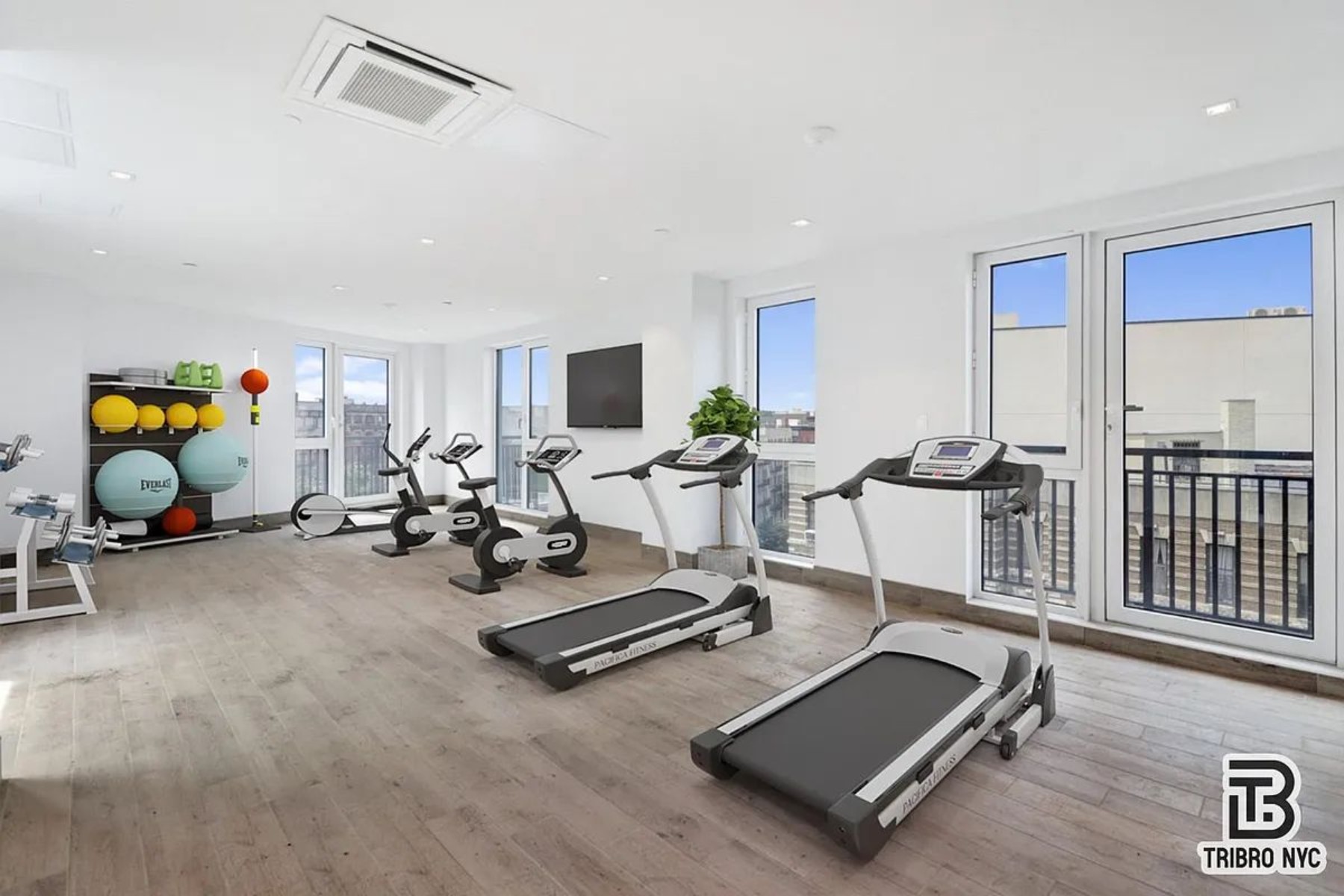 15 Somers Street 4B Ocean Hill Brooklyn NY 11233