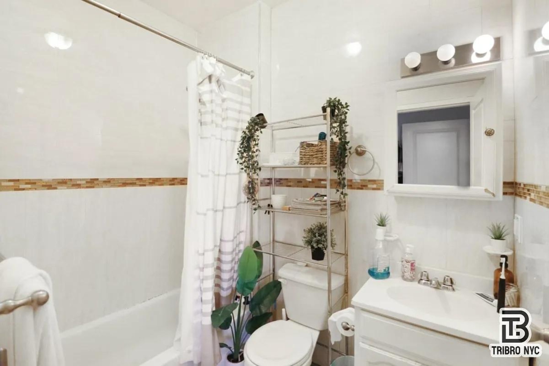 1296 Myrtle Avenue 3D Bushwick Brooklyn NY 11221