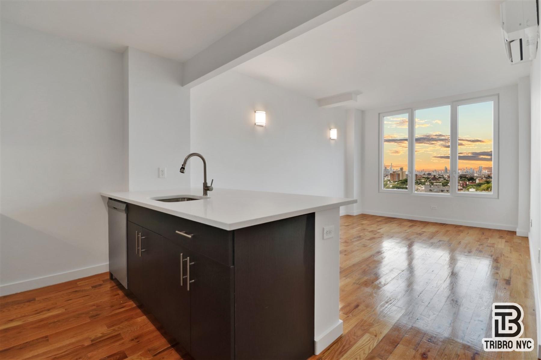 15 Somers Street Ocean Hill Brooklyn NY 11233