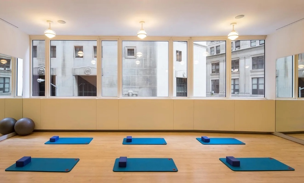 15 William Street 29D Financial District New York NY 10005