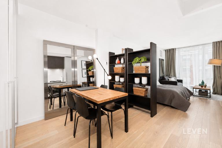540 West 49th Street 505S Clinton New York NY 10019