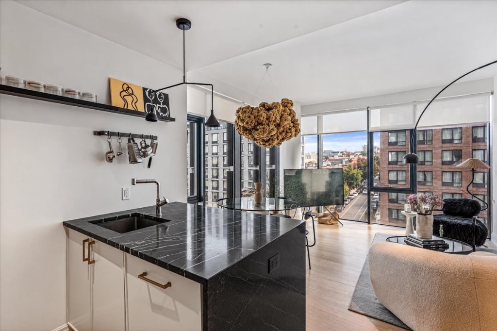554 4th Avenue 7B Gowanus Brooklyn NY 11215
