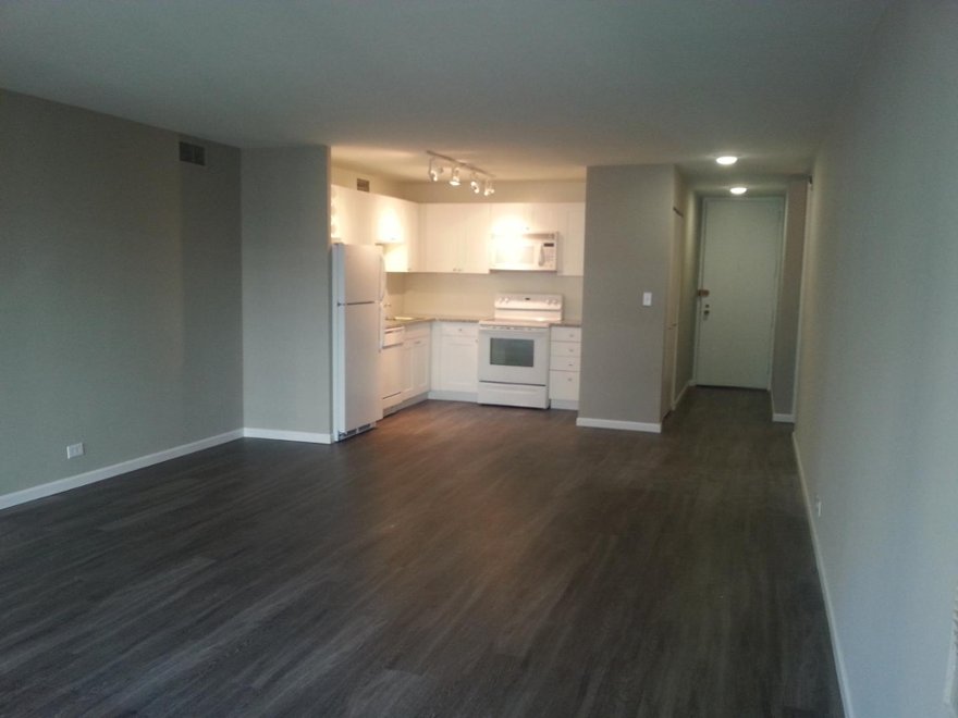 860 N Dewitt 403 Chicago Il 60611 Chicago Apartments Gold Coast Studio Apartment For Rent