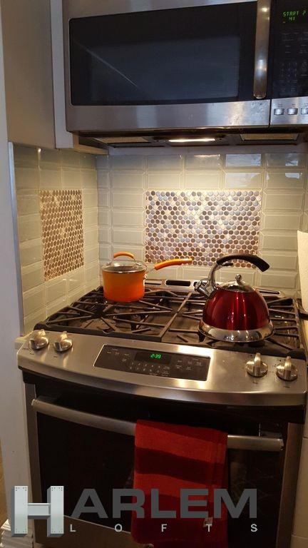 112 West 120th Street Garden Mt. Morris Park New York NY 10027