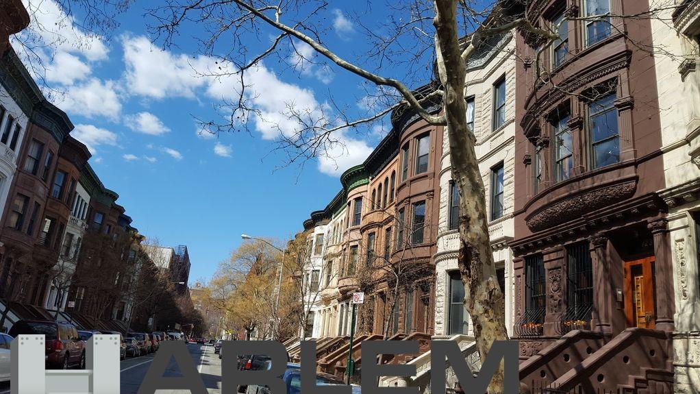 112 West 120th Street Garden Mt. Morris Park New York NY 10027