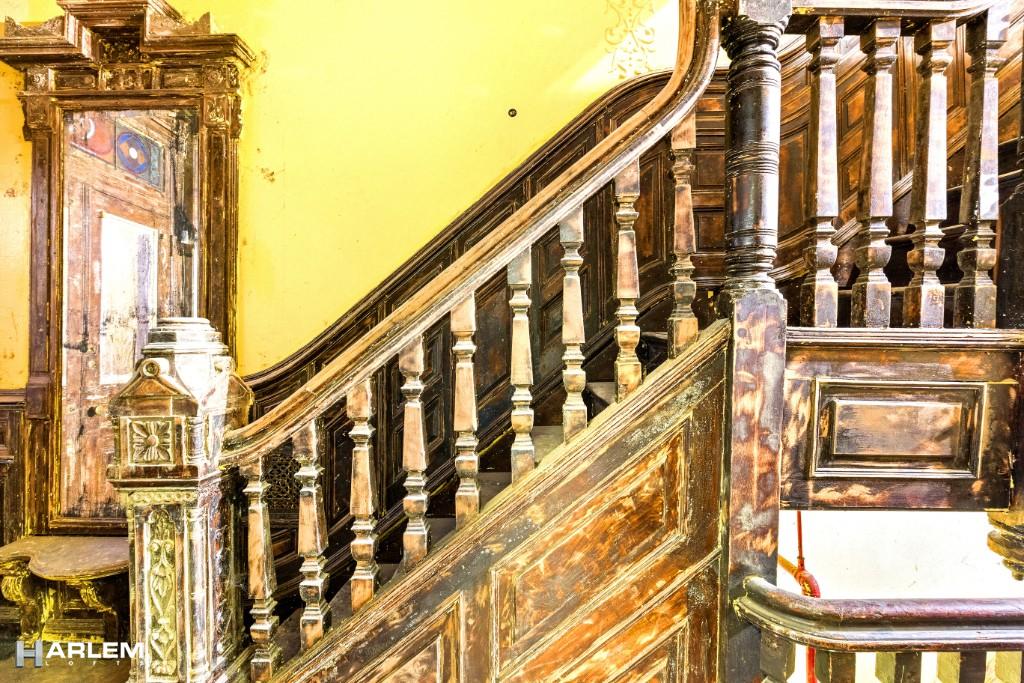 119 West 122nd Street Mt. Morris Park New York NY 10027