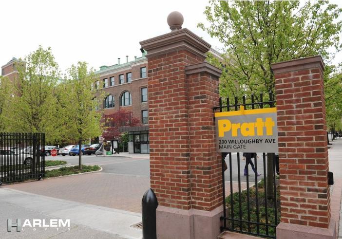 195 Willoughby Avenue 305 Clinton Hill Brooklyn NY 11205