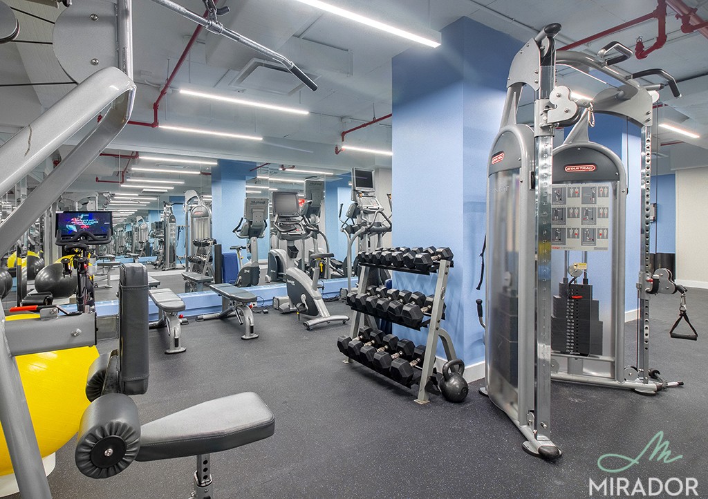290 Third Avenue 28E Gramercy Park New York NY 10010