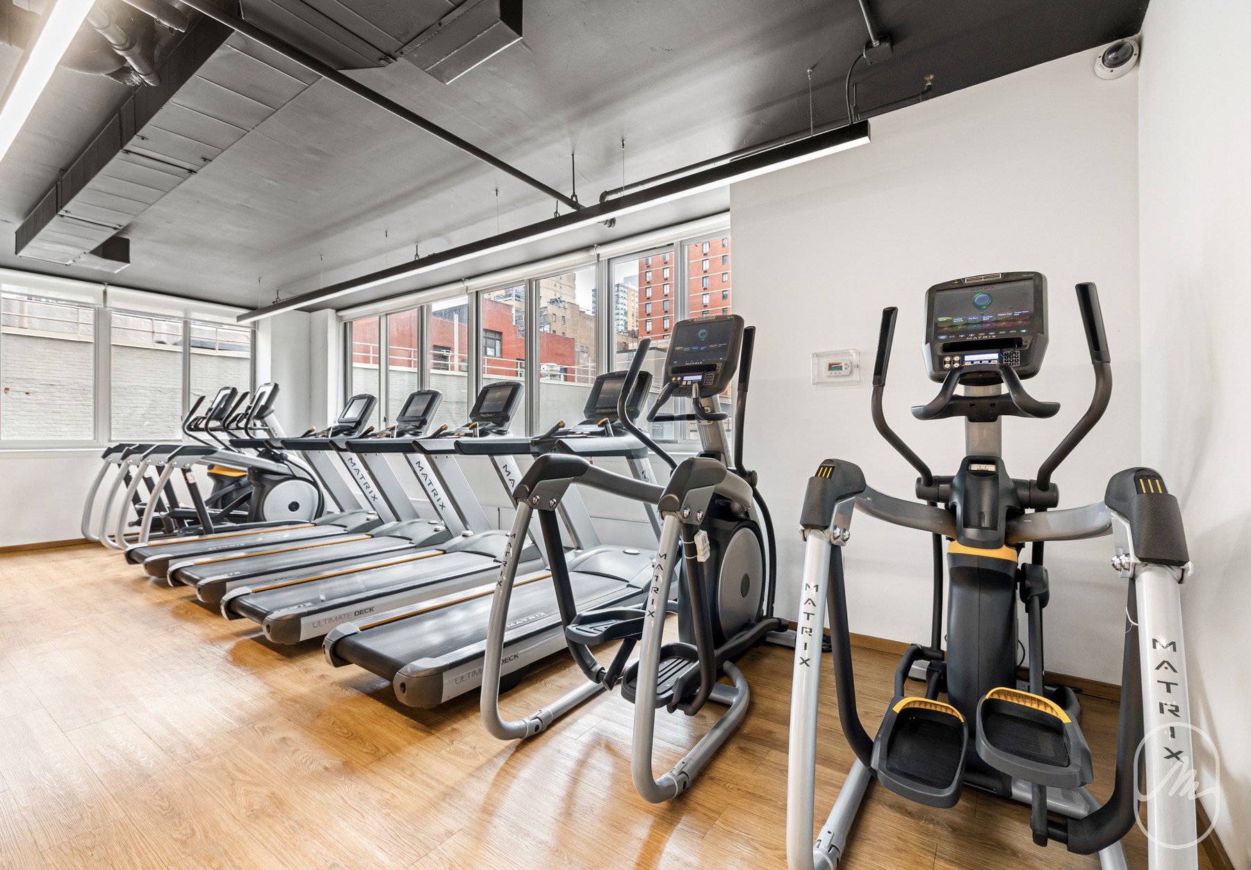 561 Tenth Avenue 14B Clinton New York NY 10036