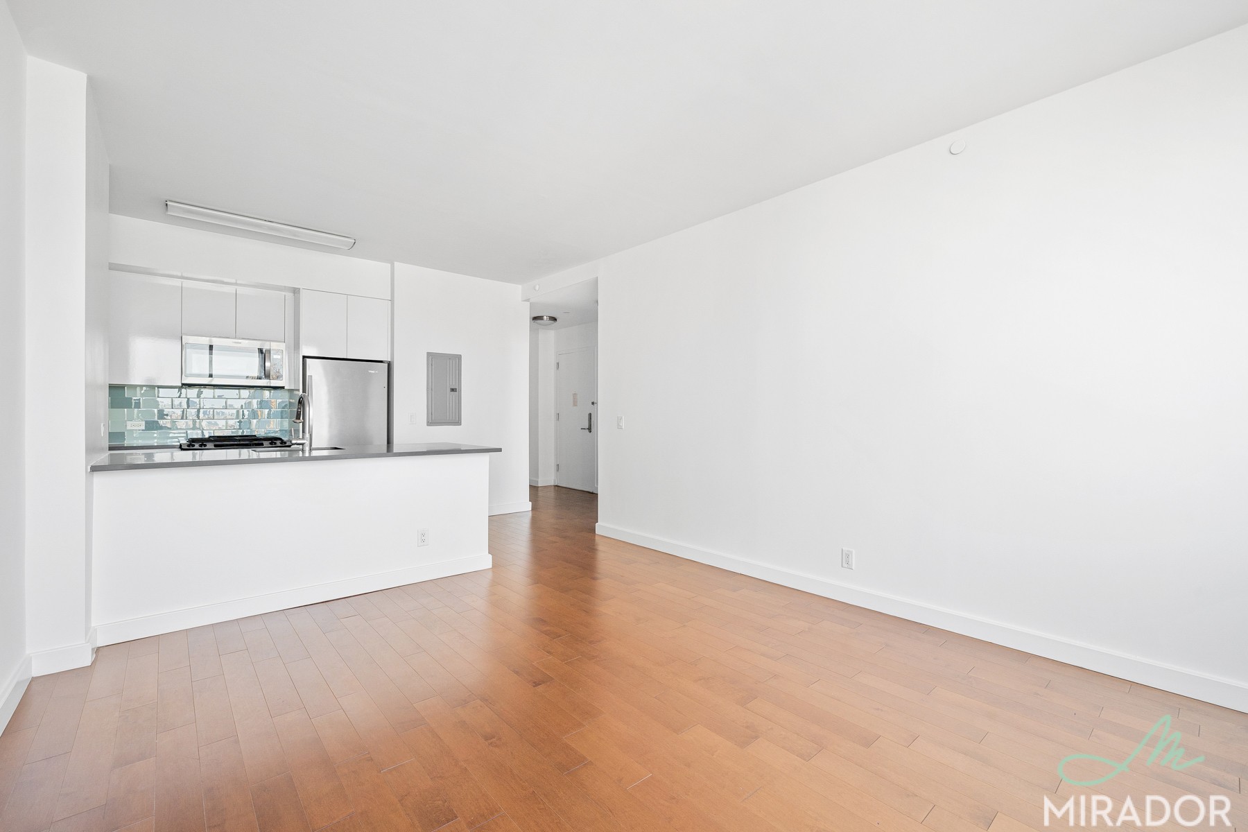80 De Kalb Avenue 23J Fort Greene Brooklyn NY 11201