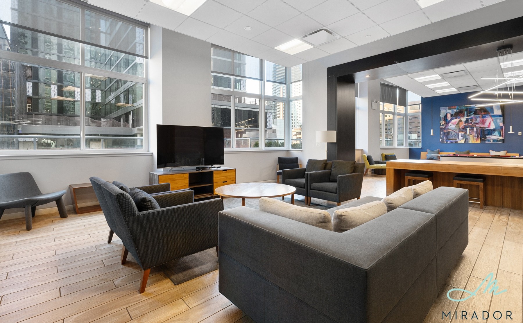 80 De Kalb Avenue 23J Fort Greene Brooklyn NY 11201