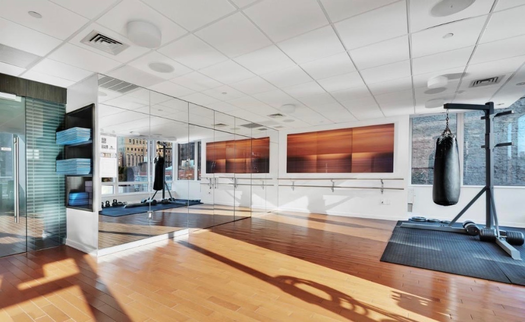 247 West 46th Street 1402 Midtown West New York NY 10036