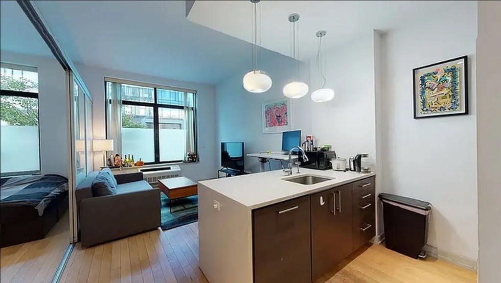 21-45 44th Drive 1I Long Island City Queens NY 11101