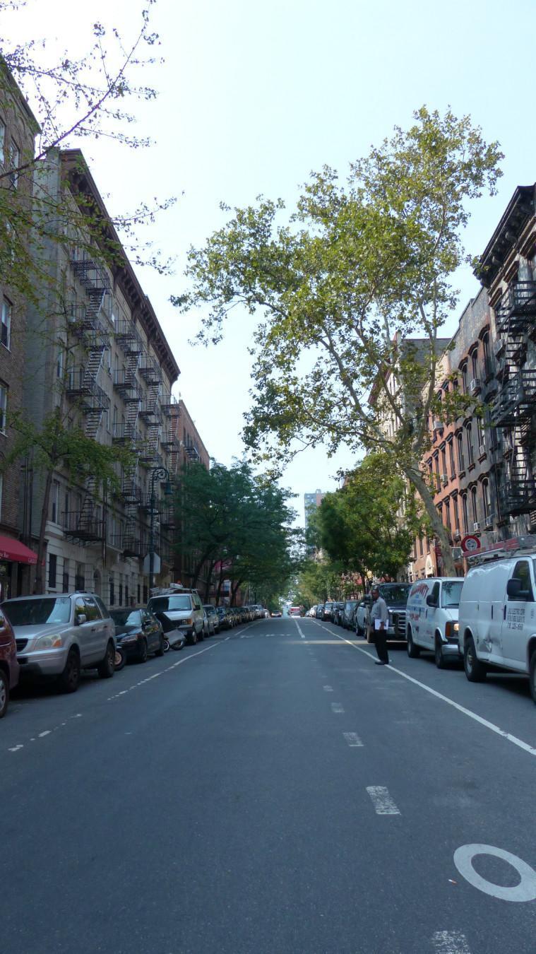 419 West 44th Street Clinton New York NY 10036