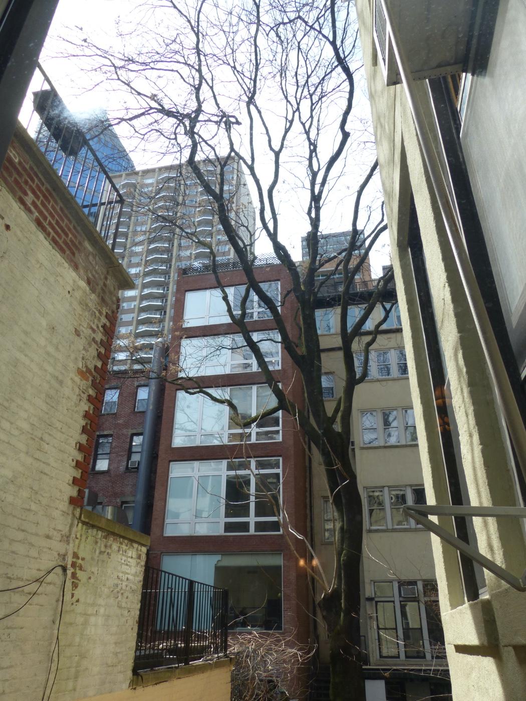 110 East 61st Street 1B Upper East Side New York NY 10065