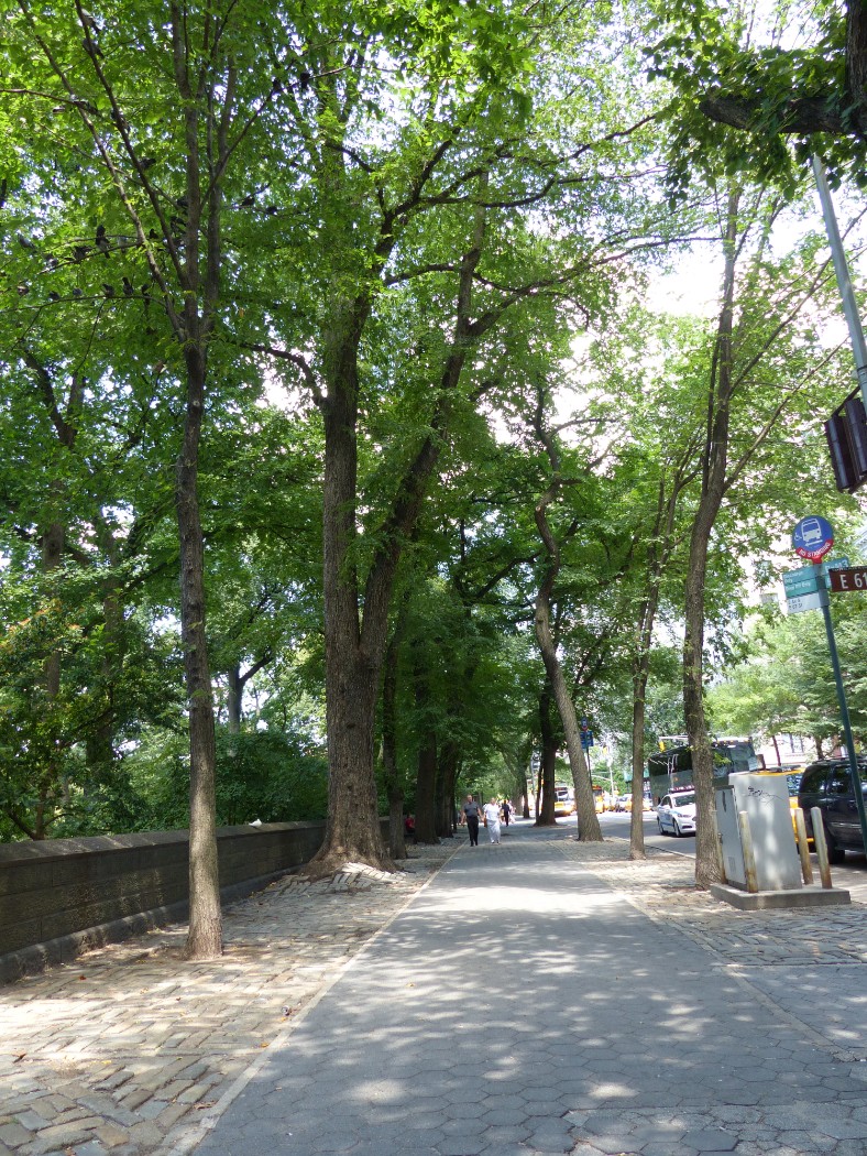 110 East 61st Street Upper East Side New York NY 10065