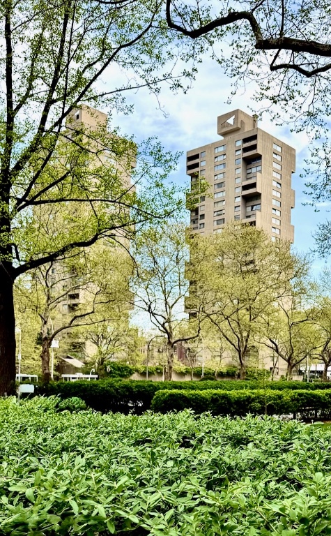 170 Park Row 18B Chinatown New York NY 10038