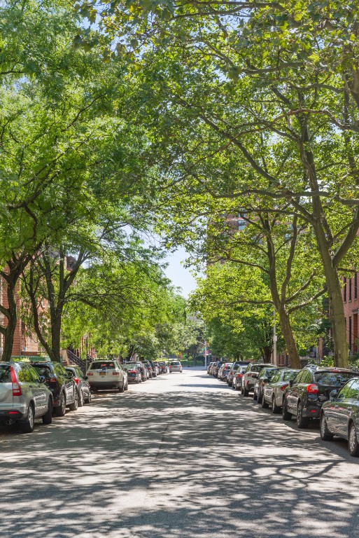 392 Adelphi Street Fort Greene Brooklyn NY 11238