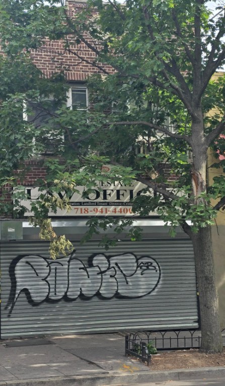 2809 Church Avenue Flatbush Brooklyn NY 11226