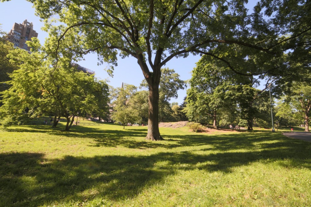 27 West 96th Street 5B Upper West Side New York NY 10025