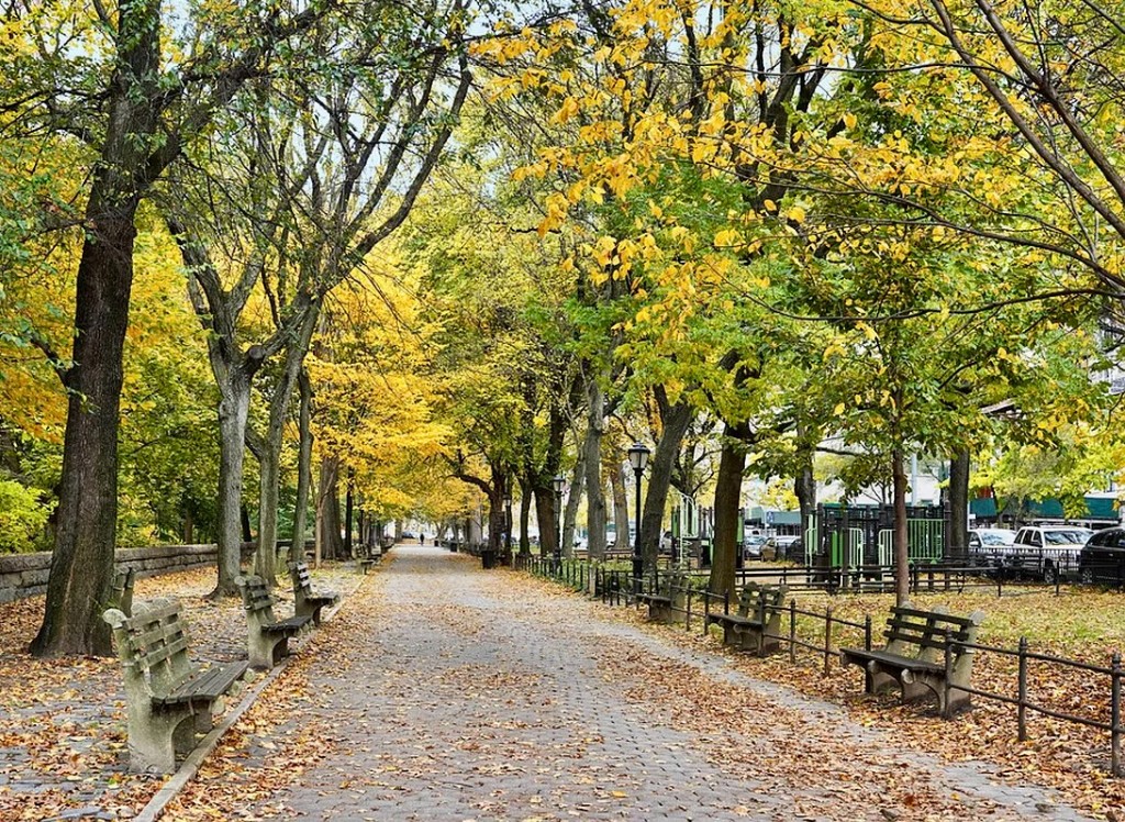 425 Riverside Drive 6J Morningside Heights New York NY 10025