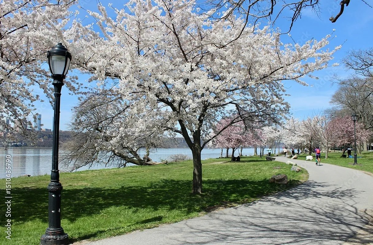 425 Riverside Drive 16H Morningside Heights New York NY 10025