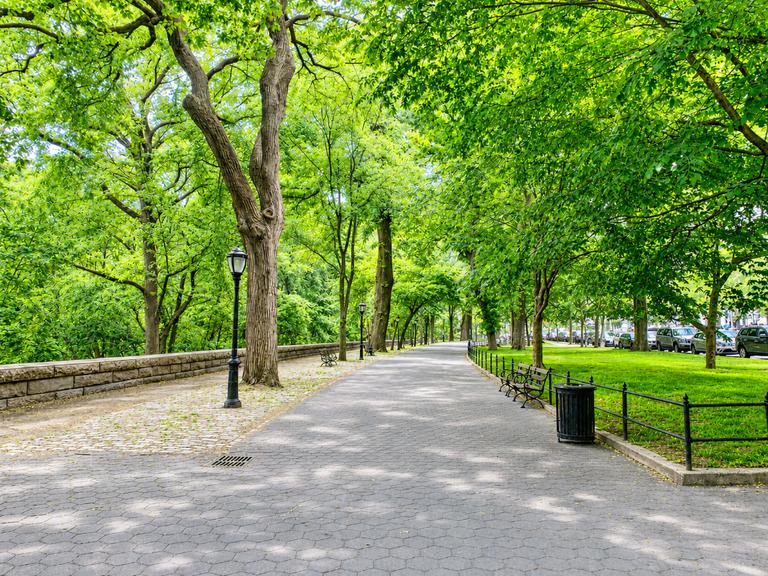 425 Riverside Drive 9B Morningside Heights New York NY 10025