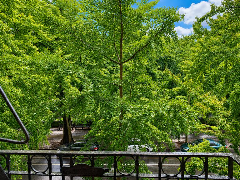225 Central Park North 35 West Harlem New York NY 10026