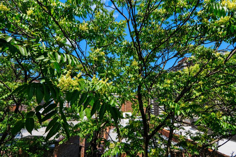 515 West 122nd Street 63 Morningside Heights New York NY 10027