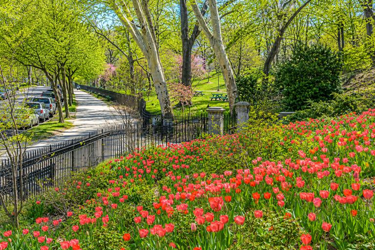 515 West 122nd Street 63 Morningside Heights New York NY 10027