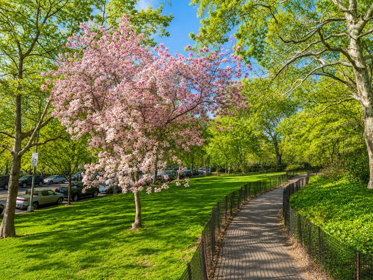 280 Riverside Drive 3F Upper West Side New York NY 10025