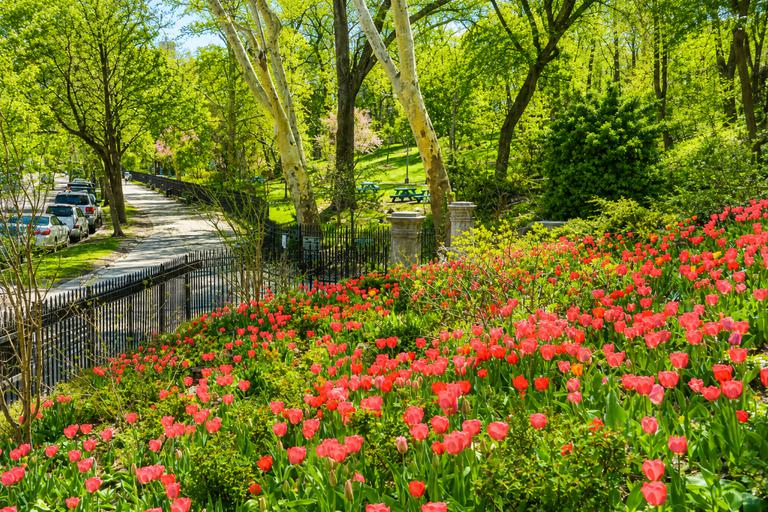 521 West 122nd Street Morningside Heights New York NY 10027