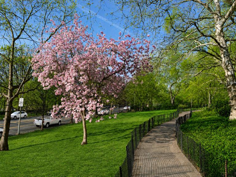 280 Riverside Drive 2J Upper West Side New York NY 10025