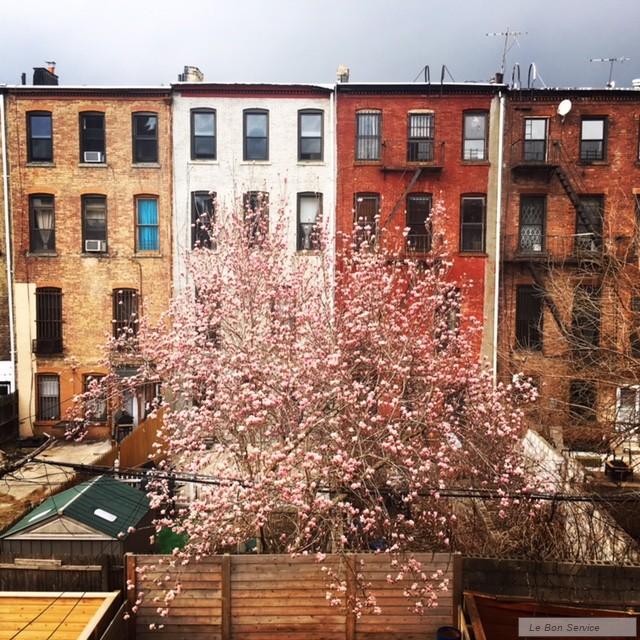 583 Putnam Avenue, #3