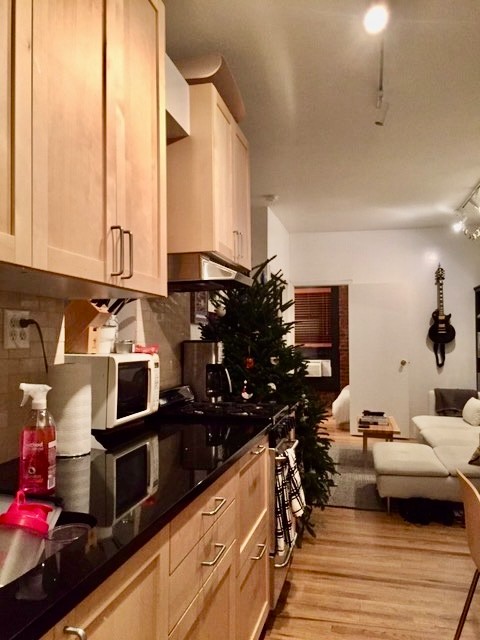 52 MacDougal Street 5B Soho New York NY 10012