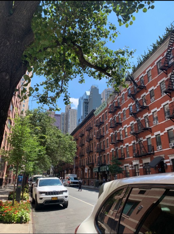 393 West 49th Street Clinton New York NY 10019