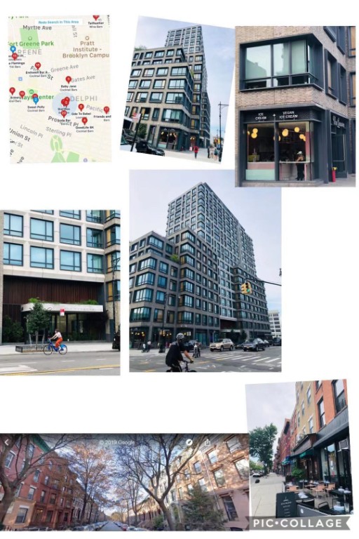 550 Vanderbilt Avenue 212 Pacific Park Brooklyn NY 11238
