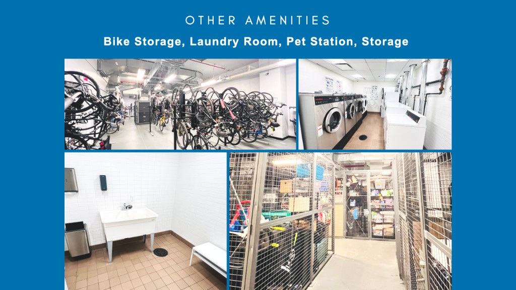 550 Vanderbilt Avenue 212 Pacific Park Brooklyn NY 11238